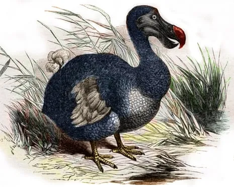 Researchers Assert They’ve Made a ‘Key Milestone’ in Resurrecting the Extinct Bird for the Initial Instance in Multiple Generations