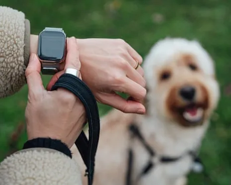 The Truth About Smartwatches? Life Feels Fuller Without a Hectoring Zealot on Your Wrist